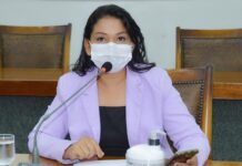 Vanda Monteiro solicita torre de telefonia e pavimentação asfáltica para assentamentos em Palmas e Porto Nacional