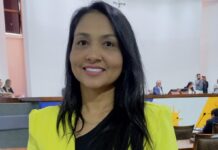 Deputada Vanda Monteiro solicita contratação de psicólogos para atuação nas escolas do Tocantins e reforço na segurança
