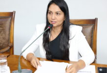 Deputada Vanda propõe que temporada de praia se torne patrimônio cultural e turístico do Tocantins